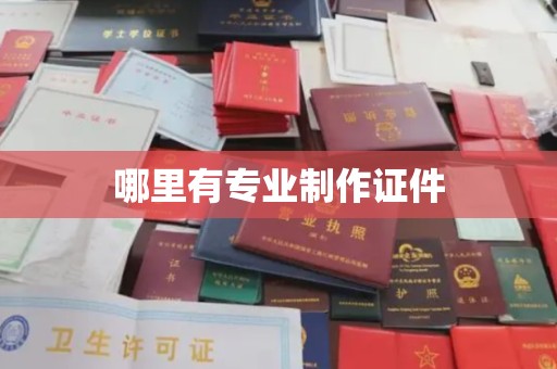 嵊泗哪里有专业制作证件