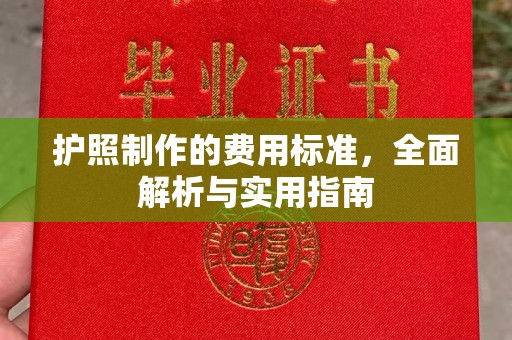 嵊泗护照制作的费用标准，全面解析与实用指南