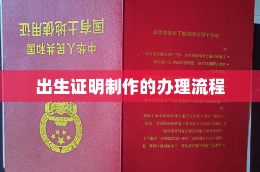 嵊泗出生证明制作的办理流程